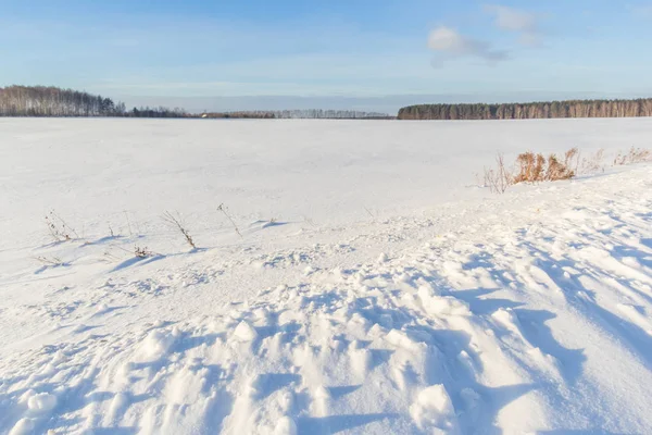 Winter field on a sunny day — Stock Photo, Image