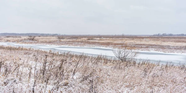 Riverbank in the snow — Stock Photo, Image