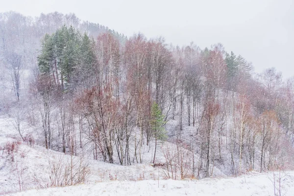 Снегопад на фоне дерева — стоковое фото