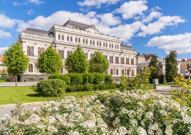Kazan Özgürlük Meydanı 'ndaki Çiçekler ve Kazan Belediye Binası