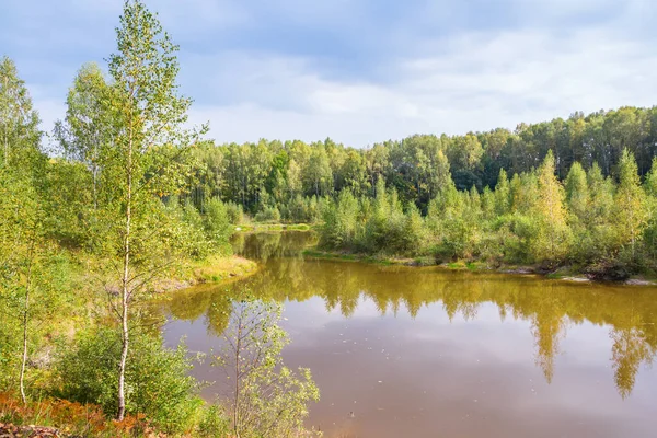 Lago Barro Bosque Principios Otoño — Foto de Stock