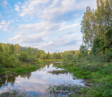 Rusya 'da sonbahar akşamı ağaçlar arasındaki orman nehri