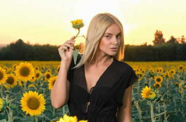 portre ayçiçeği tarlası üzerinde siyah elbiseli güzel genç sarışın model