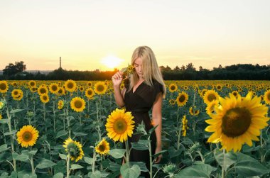 Ayçiçeği tarlası üzerinde siyah elbiseli güzel genç sarışın model