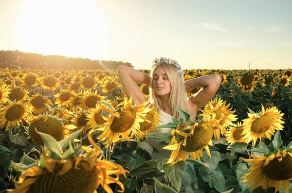 çiçeklenme üzerinde genç güzel kadın ayçiçeği alan