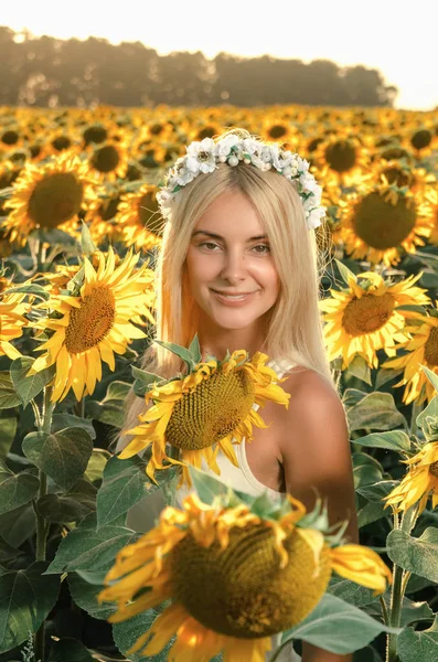 Young beautiful woman on blooming sunflower field — Stock Photo, Image