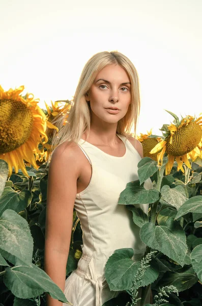 Jovem mulher bonita no campo — Fotografia de Stock