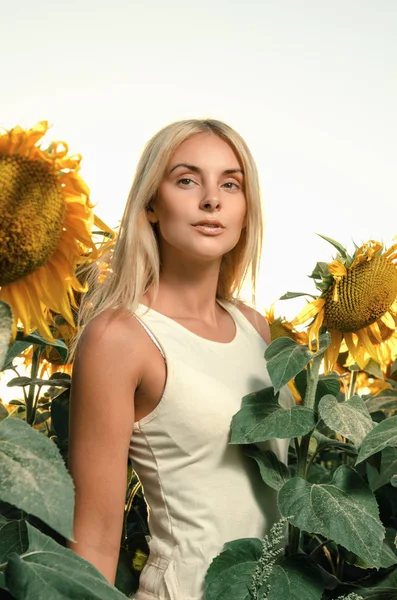 Jovem mulher bonita no campo — Fotografia de Stock