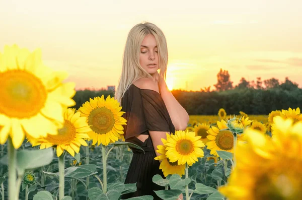 Bella giovane modella bionda in abito nero su un campo di girasoli — Foto Stock