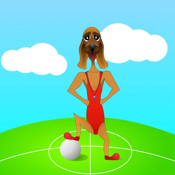 Entrenador de fútbol perro está en el campo de fútbol, poniendo su pie en la pelota. Ilustración vectorial . — Archivo Imágenes Vectoriales