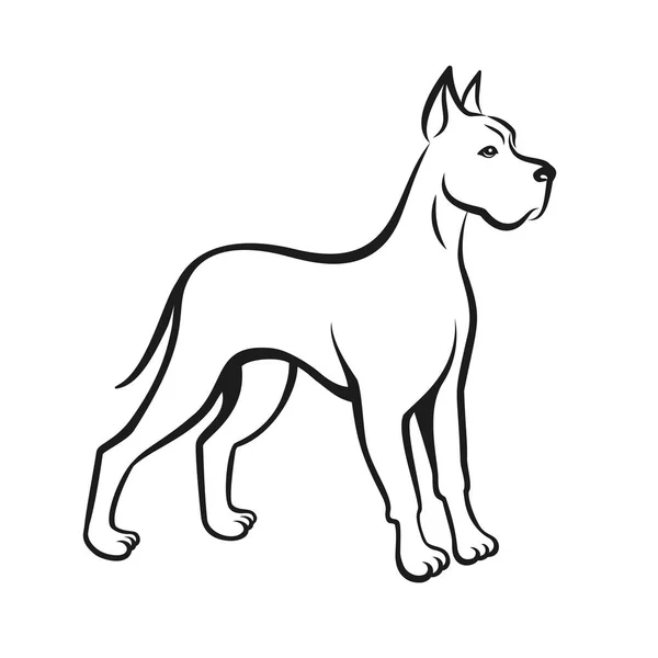 Linha do cão desenhando Great Dane. Pode ser usado como logotipo da loja de animais de estimação ou emblema do ano novo chinês 2018 — Vetor de Stock