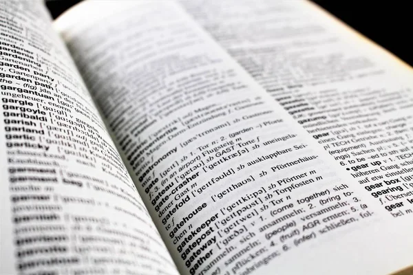An Image of a lexicon page — Stock Photo, Image