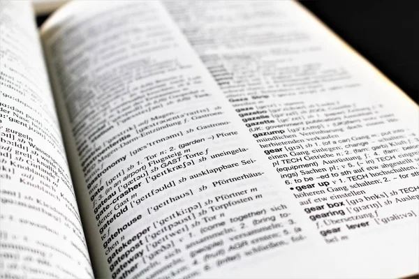 Bir sözlük sayfası görüntüsünü