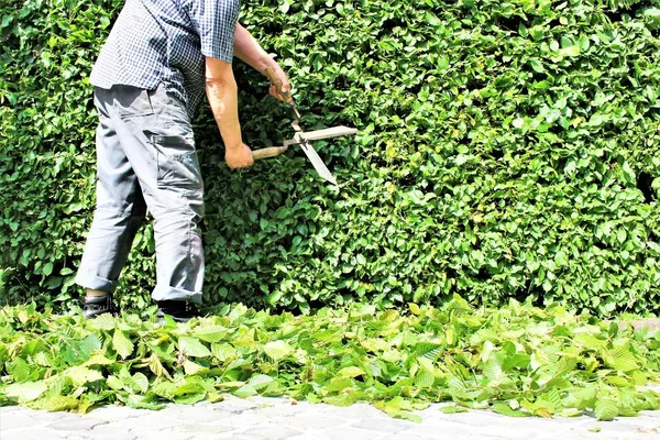 Bir çit kırpma bir görüntü