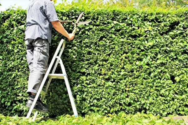 Bir çit kırpma bir görüntü