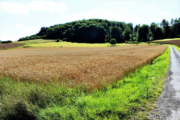An image of a country side — Stock Photo, Image