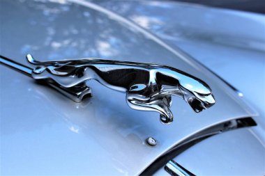 Bir Jaguar Logo Bielefeld/Almanya - 07/23/2017 görüntüsünü