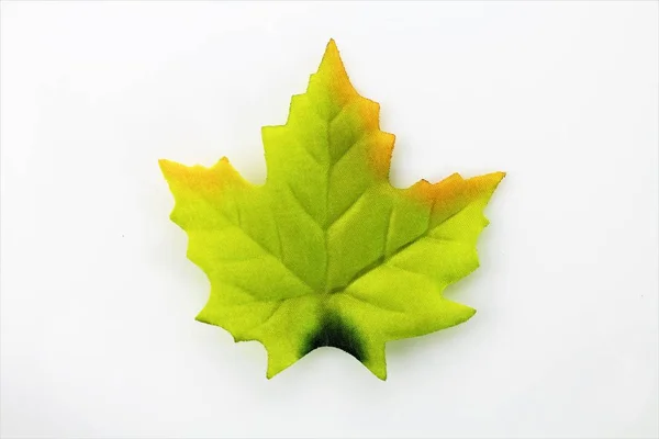 Ein Bild von Herbstblättern - Hintergrund — Stockfoto