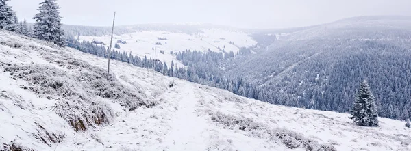 Vinter i Karkonosze-bergen — Stockfoto
