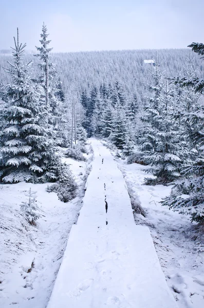 在 Karkonosze 山的冬天 — 图库照片