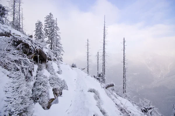 Зими в горах Karkonosze — стокове фото