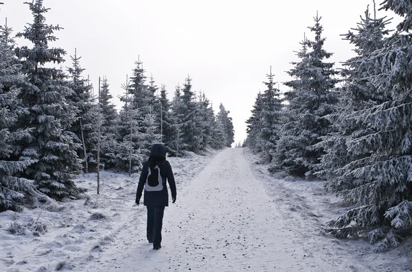 Winter im Karkonosse-Gebirge — Stockfoto