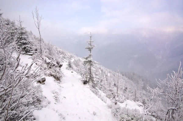 Inverno nas montanhas Karkonosze — Fotografia de Stock