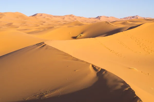 Sahara woestijn in Marokko — Stockfoto