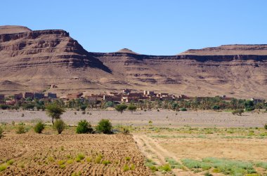 Kuru Fas tepelerinde