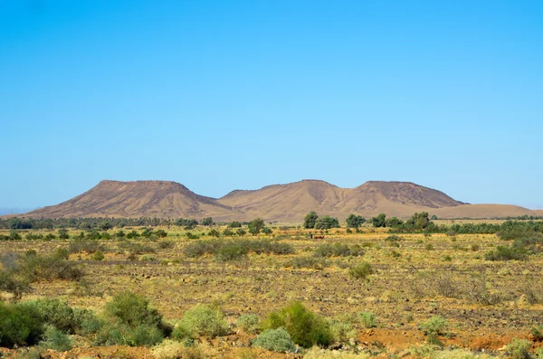 Droge heuvels van Marokko — Stockfoto