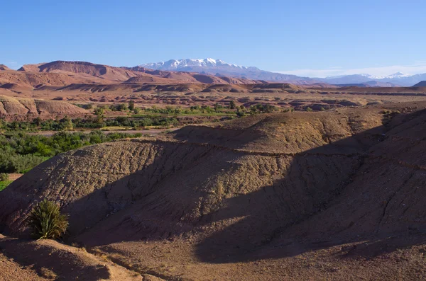 Colline secche del Marocco — Foto Stock