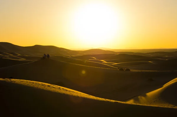 Puesta de sol en el desierto del Sahara — Foto de Stock