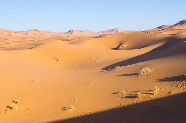 Sahara desierto en Marruecos — Foto de Stock