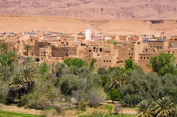 Oasis verde en Marruecos — Foto de Stock