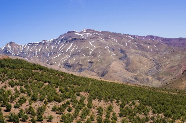 Montagnes Atlas au Maroc — Photo