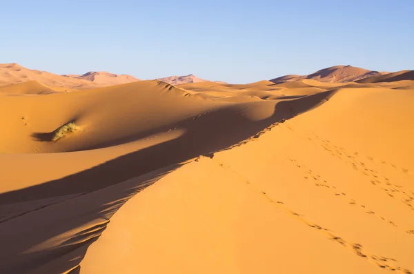 Sahara desierto en Marruecos — Foto de Stock