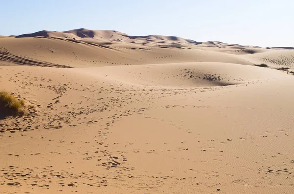 Sahara desierto en Marruecos — Foto de Stock