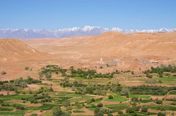 Oasi verde in Marocco — Foto Stock
