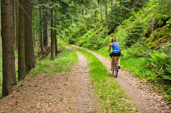 Woman bicycling in the woods — Stock Photo, Image