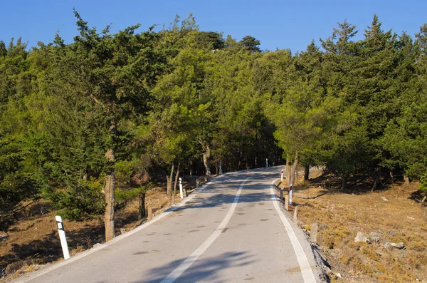 Estrada na floresta na ilha de Rodes, Grécia — Fotografia de Stock