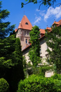Castle Osieczna, Polonya