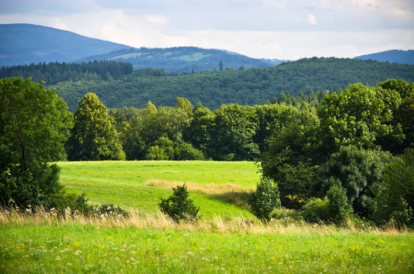 Vista de primavera sobre prados y bosques —  Fotos de Stock