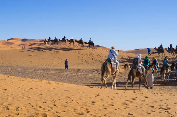 Caravana no deserto, Marrocos — Fotografia de Stock