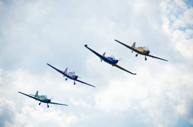 Leszno hava piknik 2016