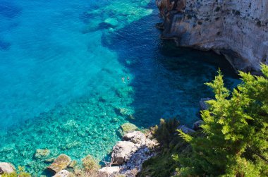 Kıyı şeridi adasının Zakynthos, Yunanistan