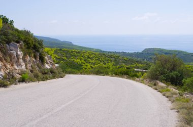 Yol adada Zakynthos, Yunanistan