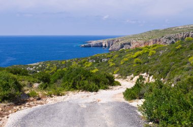 Yol adada Zakynthos, Yunanistan