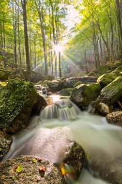 Stream Jizera mountains, Çek Cumhuriyeti
