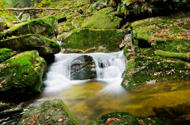 Stream Jizera mountains, Çek Cumhuriyeti