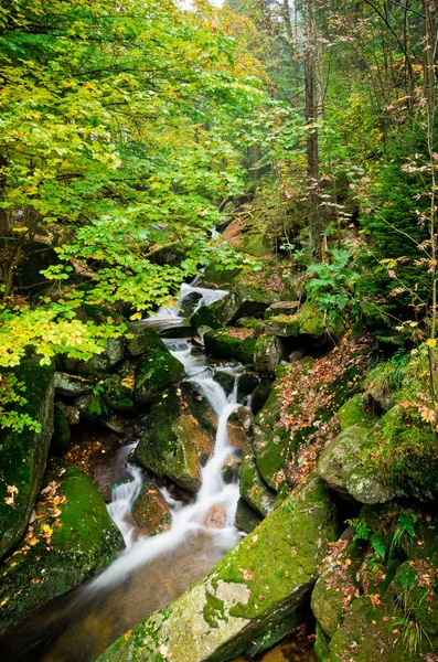 Arroyo en las montañas de Jizera, República Checa —  Fotos de Stock